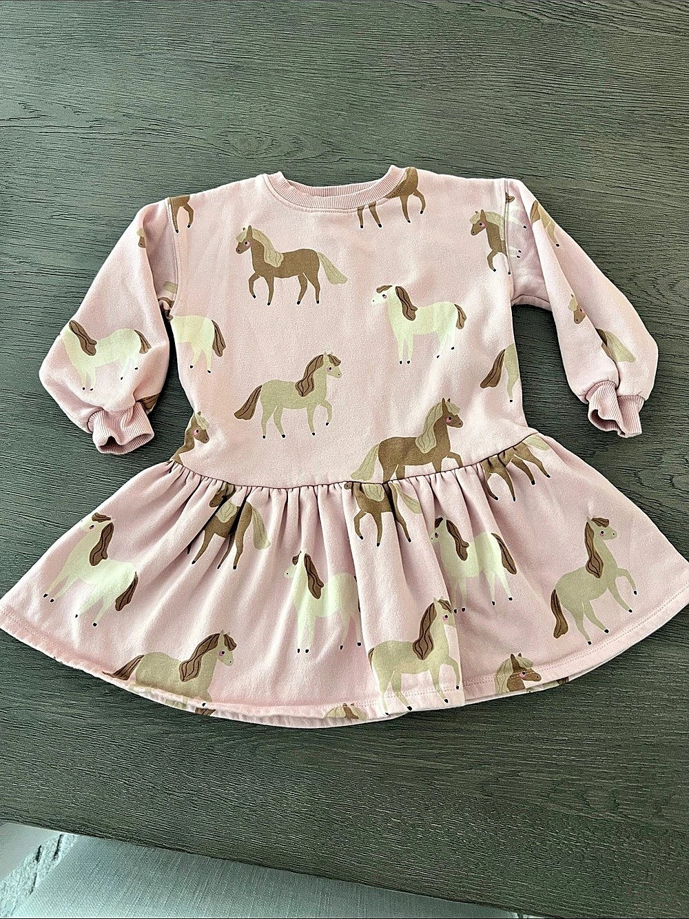 H&M Sweatshirt Dress Girls Horse Print Size 3/4T